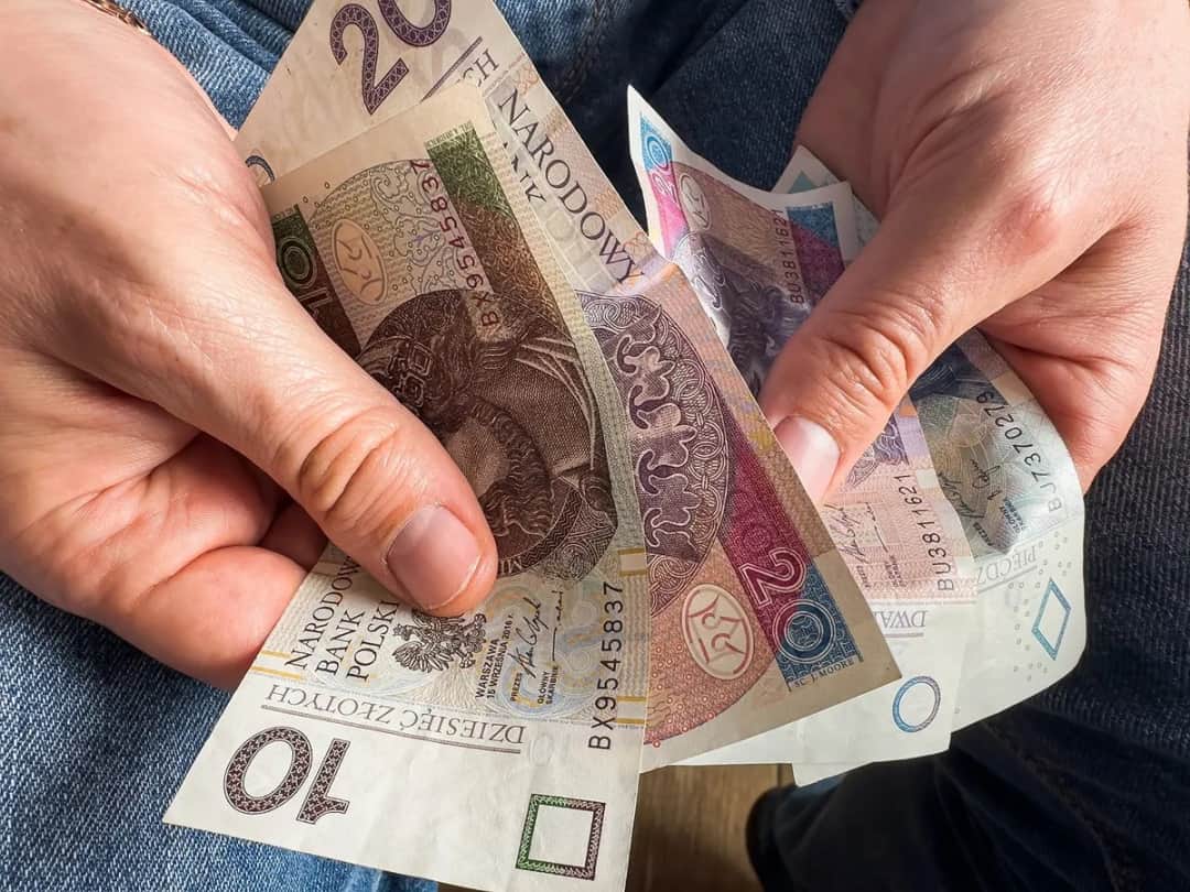 Kuroniówka po studiach? Sprawdź warunki i wsparcie z urzędu pracy