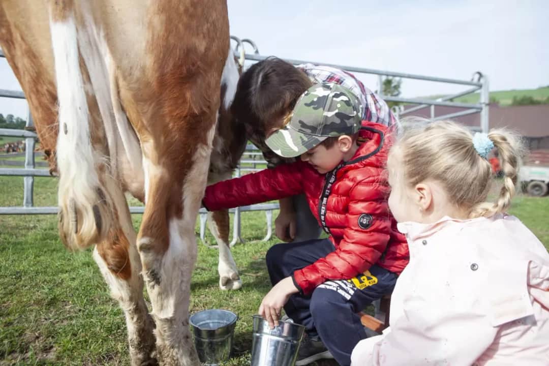 Zagroda edukacyjna: Więcej niż agroturystyka pełny przewodnik